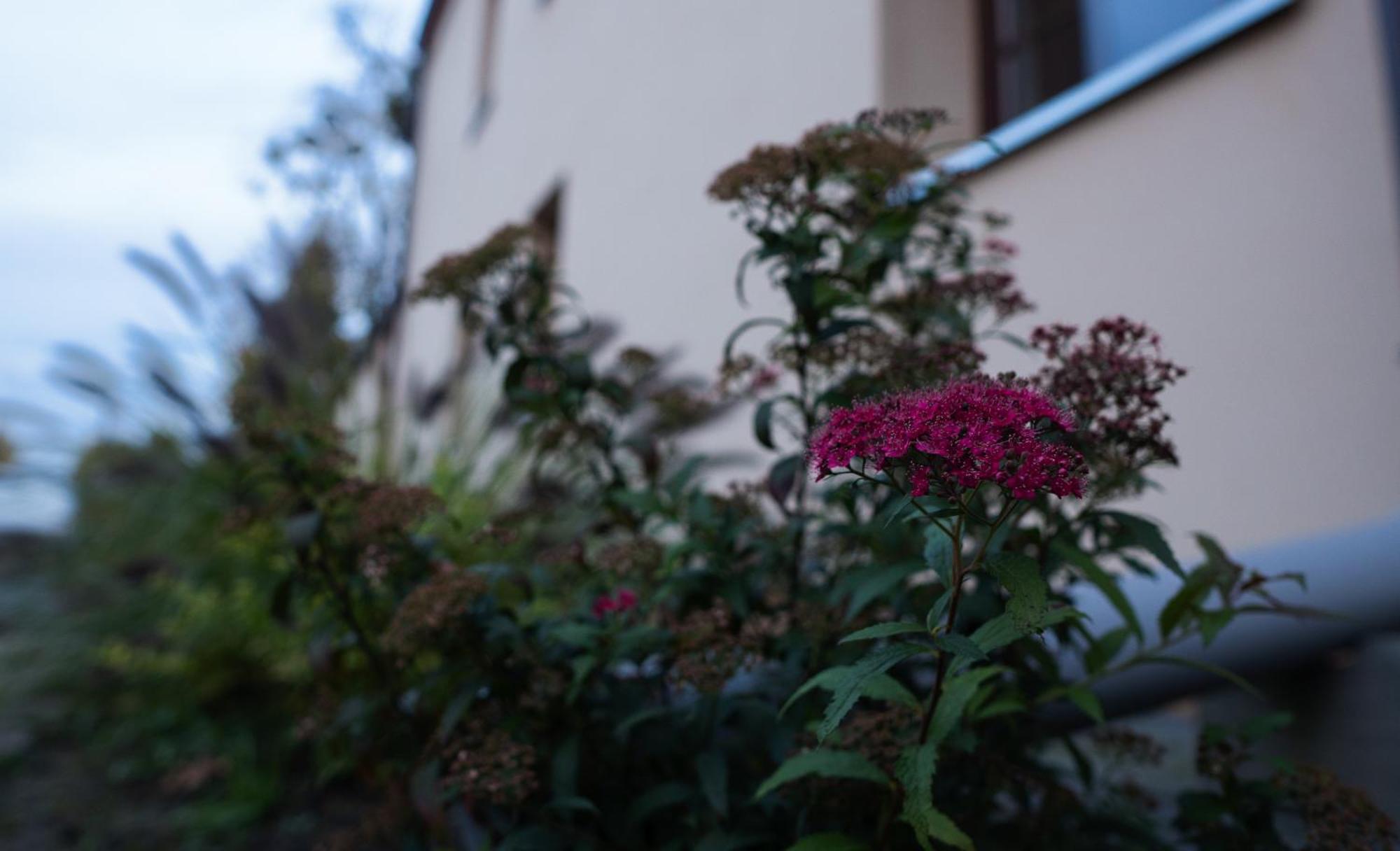 Uroczysko Olesnica Bed & Breakfast Chodziez Luaran gambar