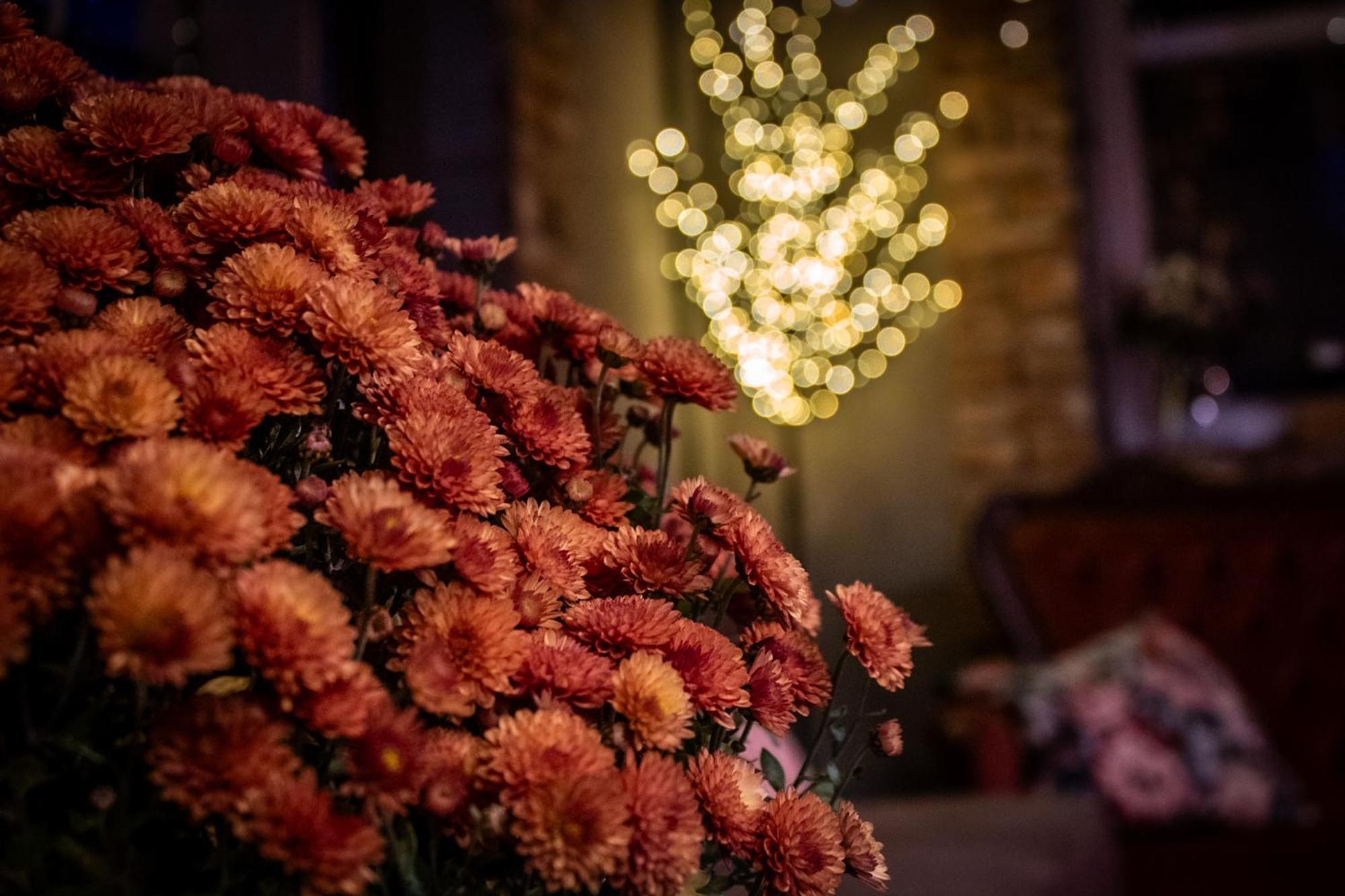 Uroczysko Olesnica Bed & Breakfast Chodziez Luaran gambar