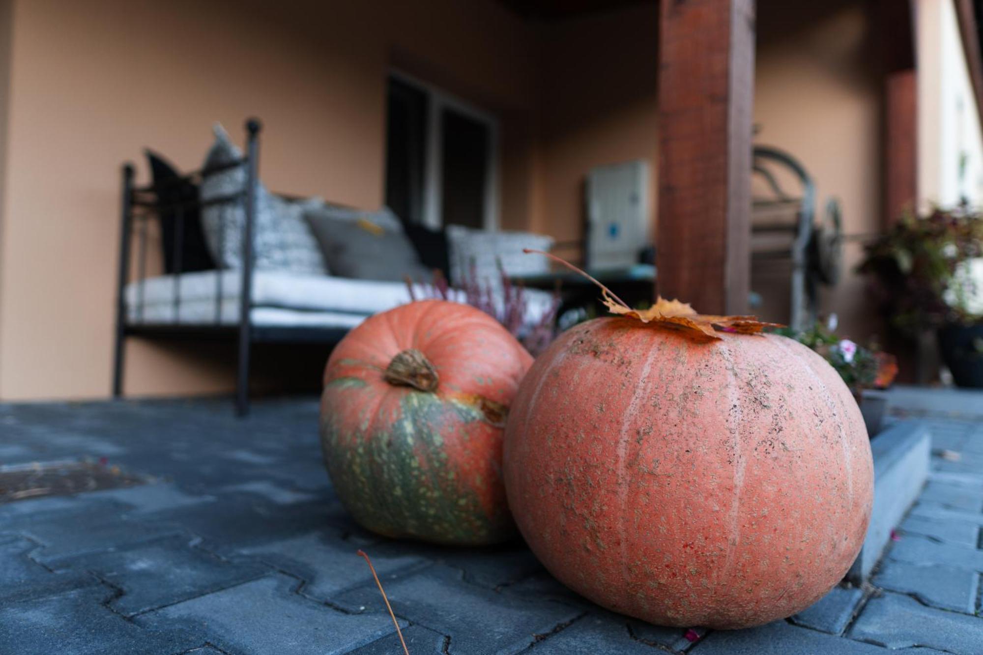 Uroczysko Olesnica Bed & Breakfast Chodziez Luaran gambar